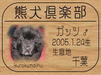 �݂�}�}����̂g�o�ւf�n�I